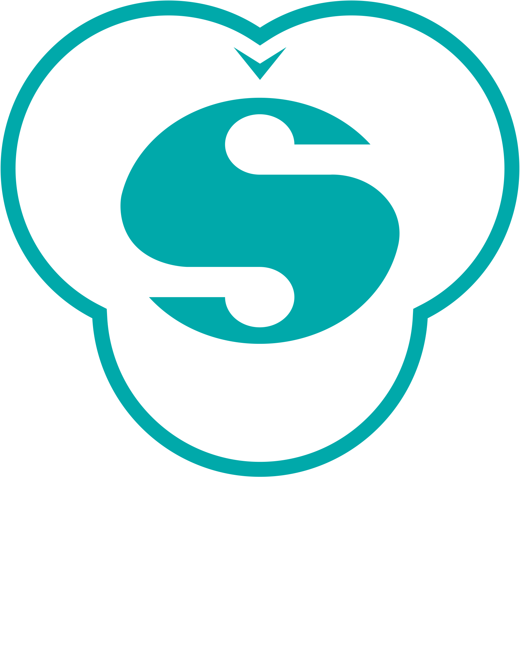 Valmieras stikla šķiedras logo
